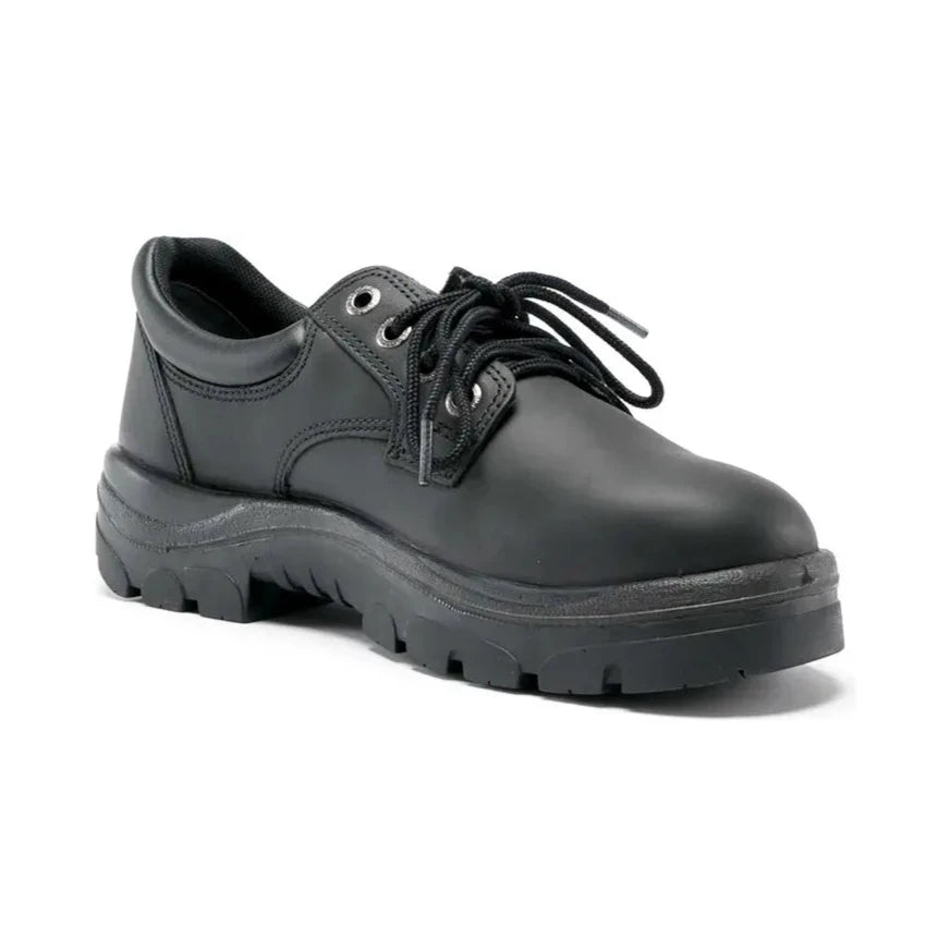 Steel Blue Black Eucla Lace Up Steel Toe Cap Work Shoe (312126) (Pre-Order) - Ace Workwear