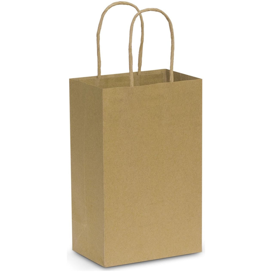 Paper Carry Bag - Small (Carton of 100pcs) (107582) Paper Bags, signprice Trends - Ace Workwear