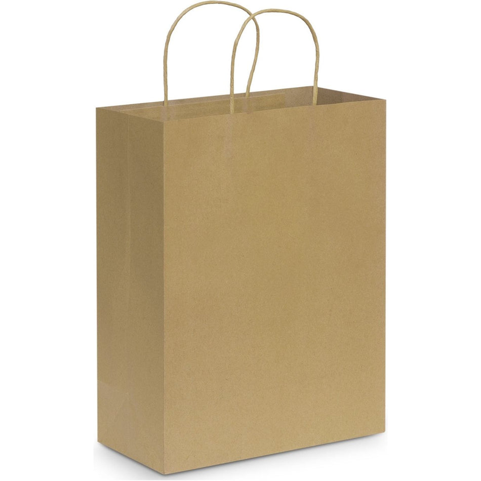 Paper Carry Bag (Carton of 100pcs) (107590) Paper Bags, signprice Trends - Ace Workwear