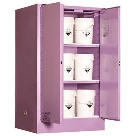 PRATT Corrosive Storage Cabinet 425L 2 Door, 3 Shelf (5590ASPH) Class 8 Corrosive Metal, signprice Pratt - Ace Workwear